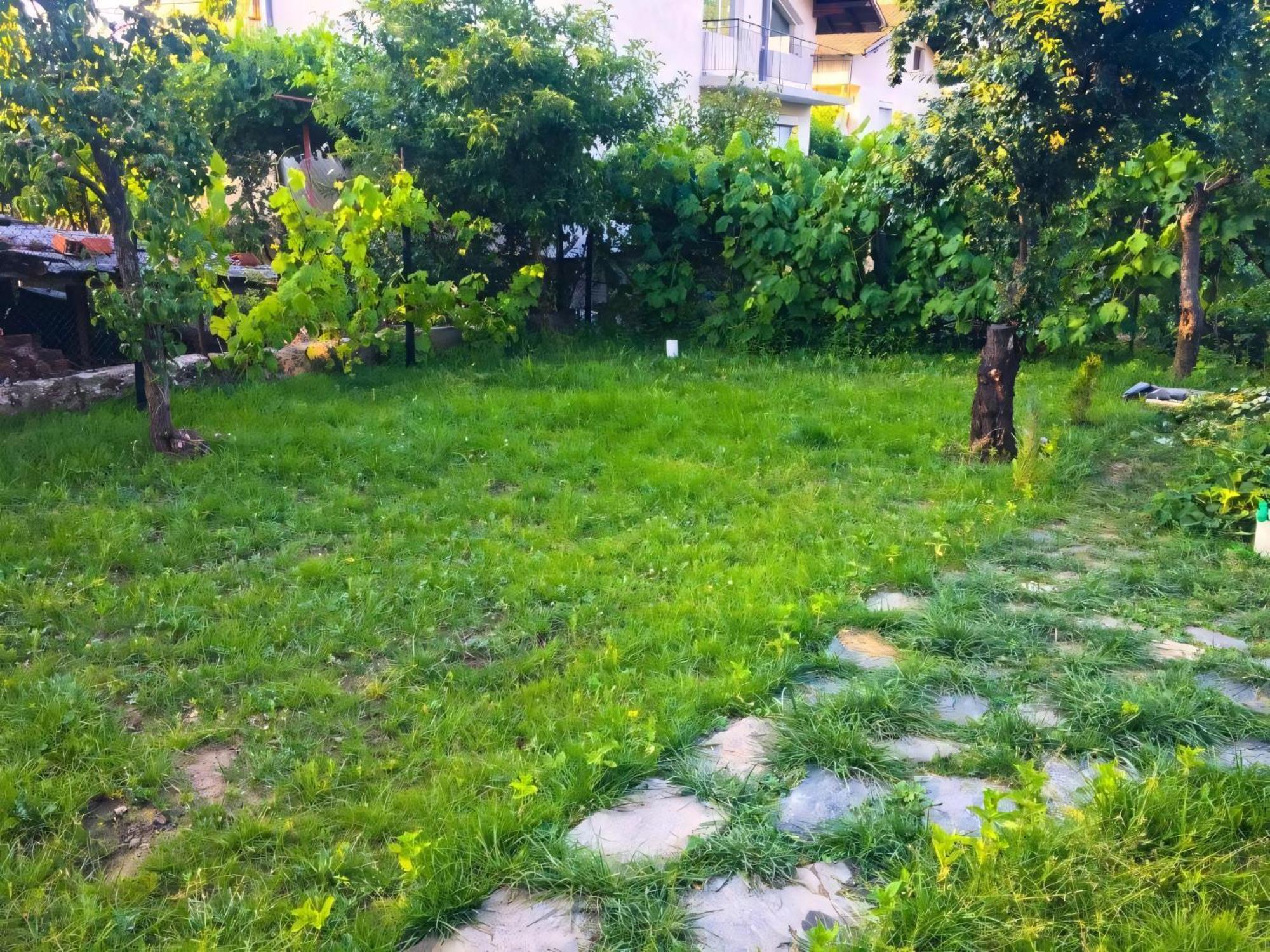 Alpin Guest House Sapareva Banya ภายนอก รูปภาพ